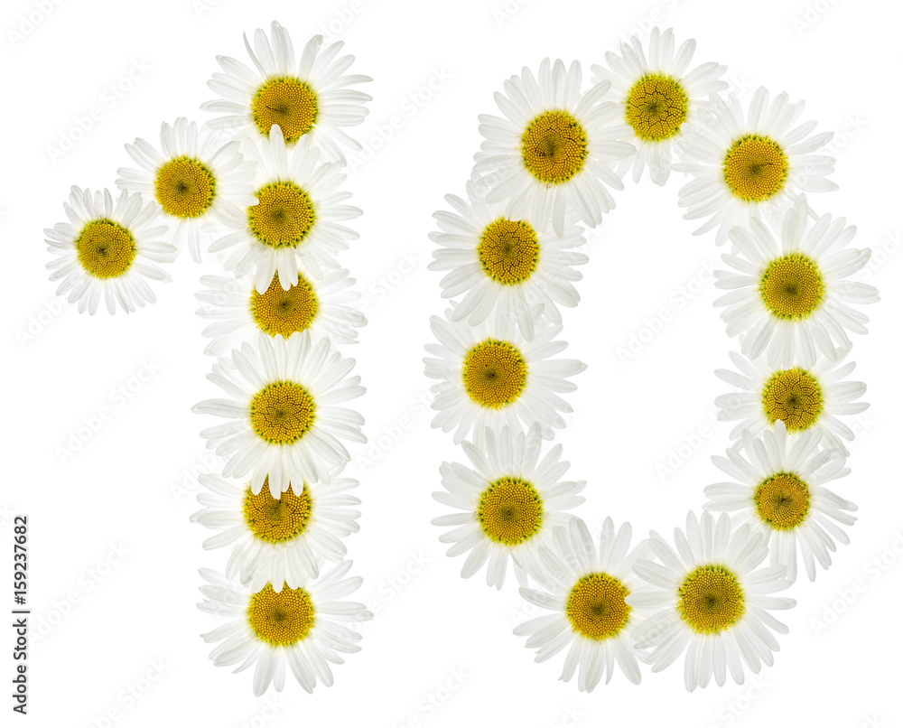 Arabic numeral 10, ten, from white flowers of chamomile, isolated on white background Arabic numeral 10, ten, from white flowers of chamomile, isolated on white background