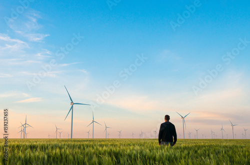 Man on green field of wheat with windmills for electric power production