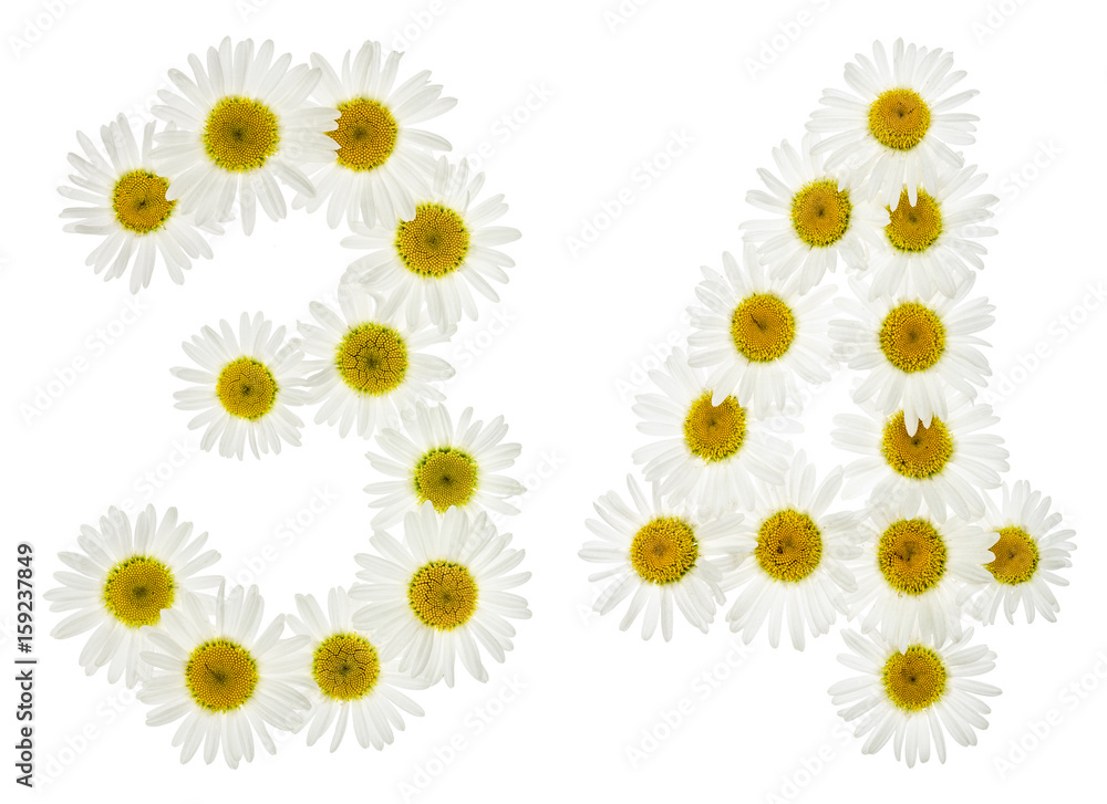 Arabic numeral 34, thirty four, from white flowers of chamomile, isolated on white background Arabic numeral 34, thirty four, from white flowers of chamomile, isolated on white background