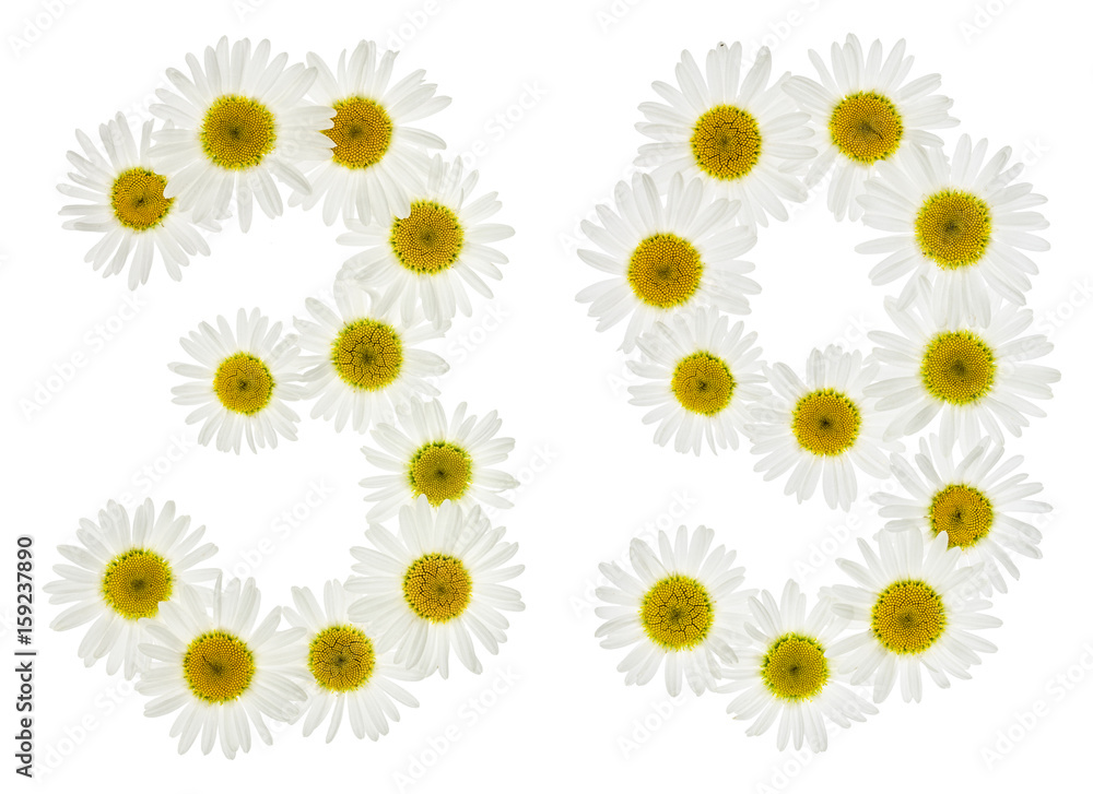 Arabic numeral 39, thirty nine, from white flowers of chamomile, isolated on white background Arabic numeral 39, thirty nine, from white flowers of chamomile, isolated on white background