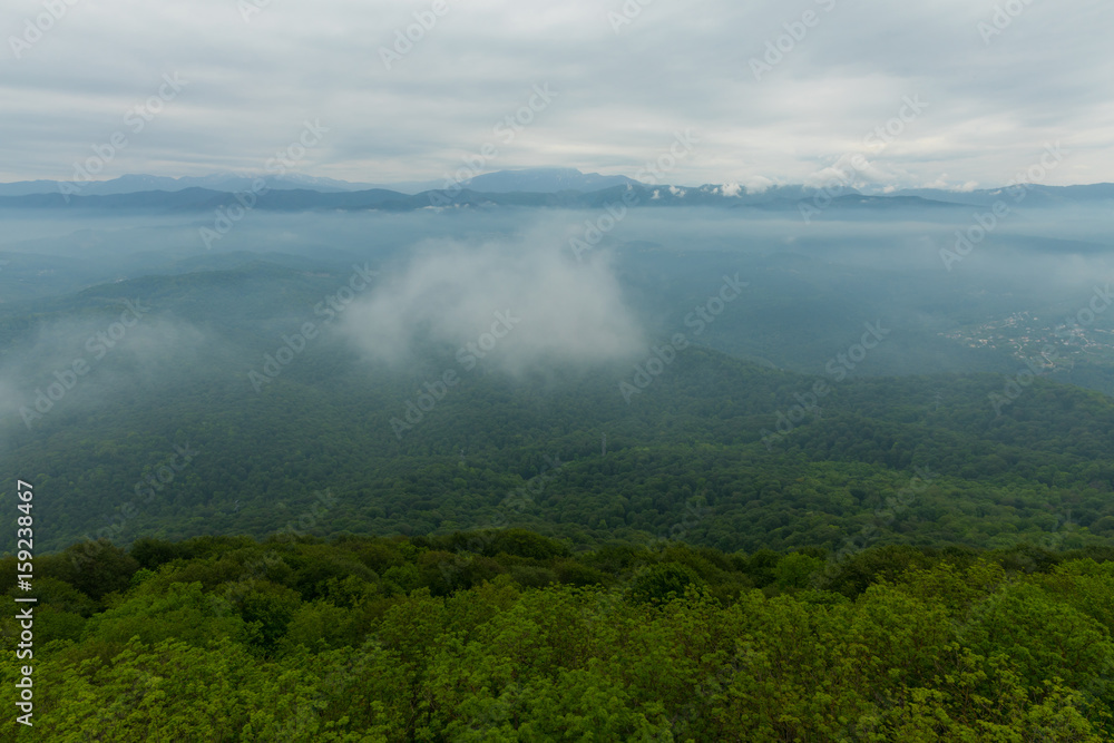 Blue mountains in fog and green summer valley