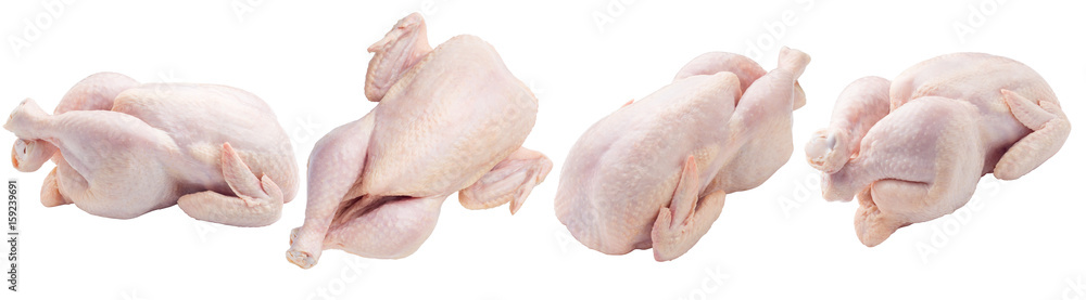 Raw fresh chicken, clipping path, on white background, isolated Raw fresh chicken, clipping path, on white background, isolated