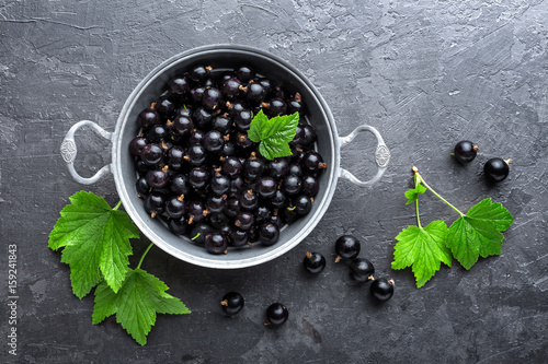 Canvas Print Blackcurrant berries with leaves, black currant