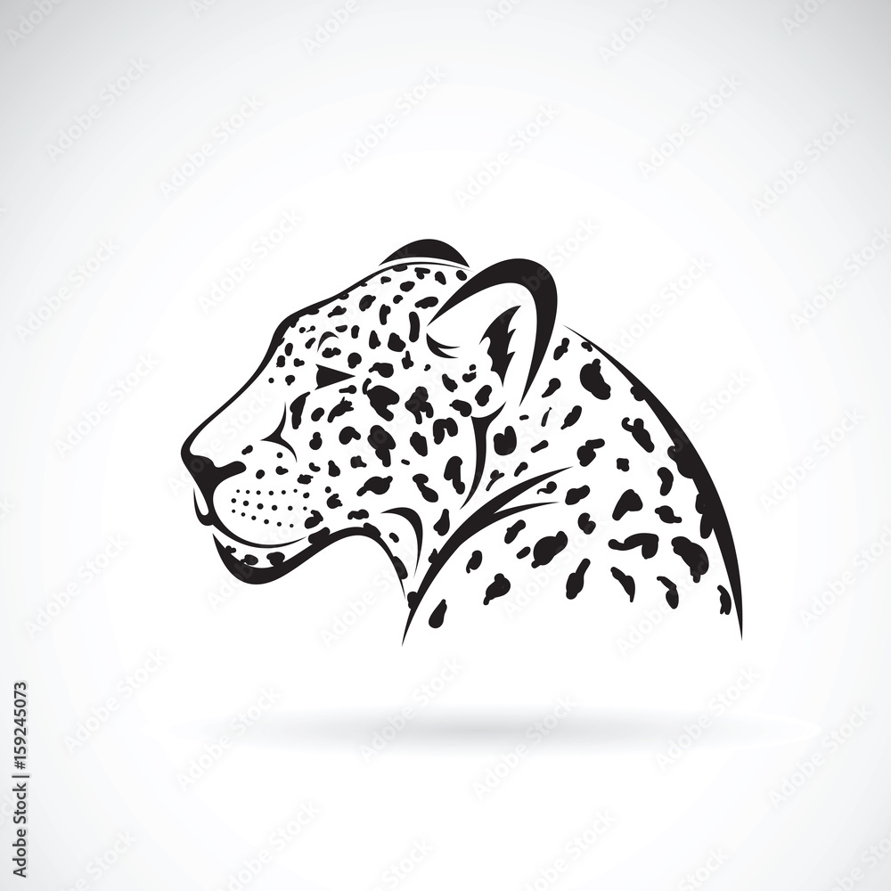 Fototapeta premium Vector of a leopard on white background. Wild Animals.