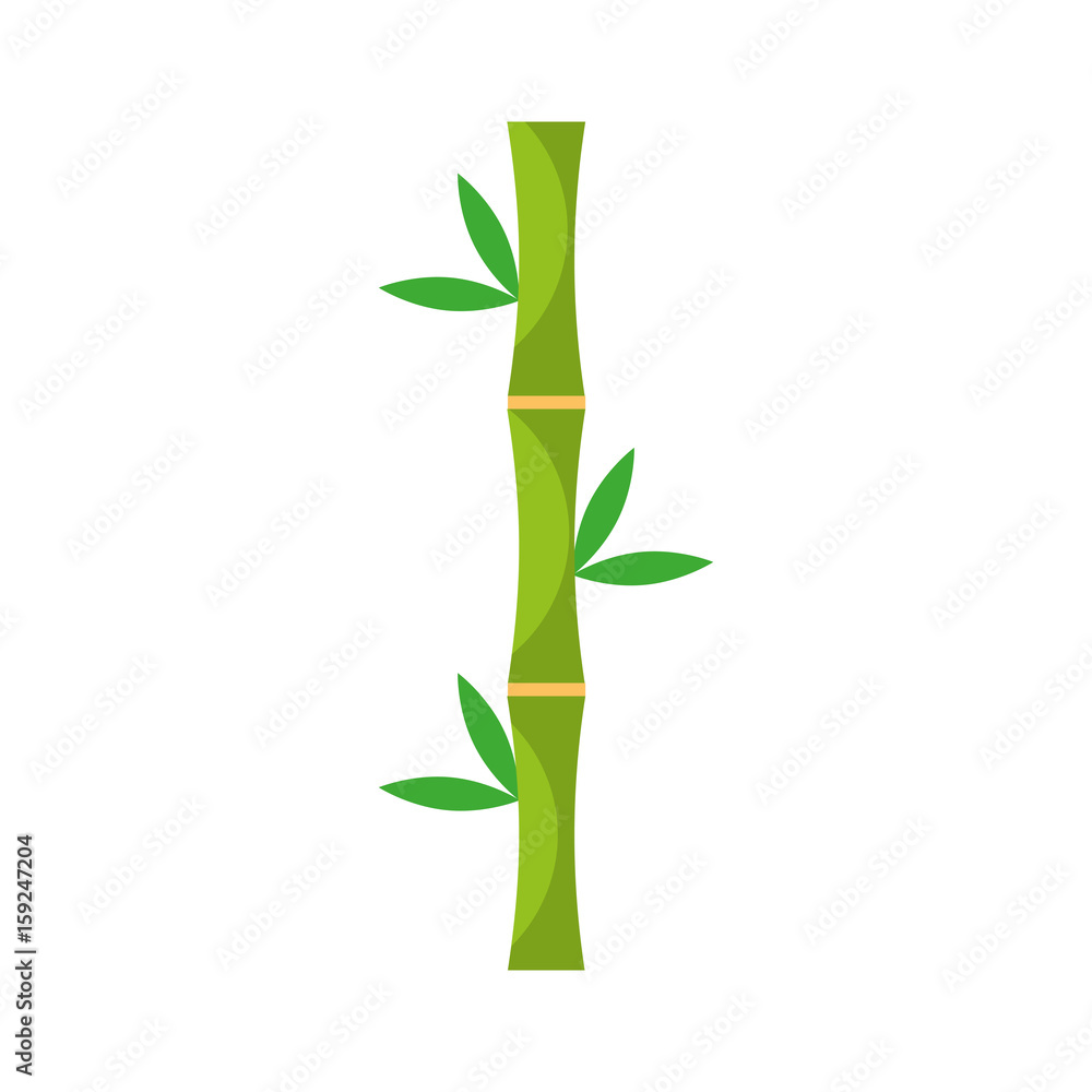 Obraz premium bamboo stem natural icon vector illustration design