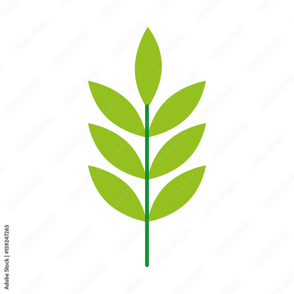 leafs plant wreath icon vector illustration design leafs plant wreath icon vector illustration design