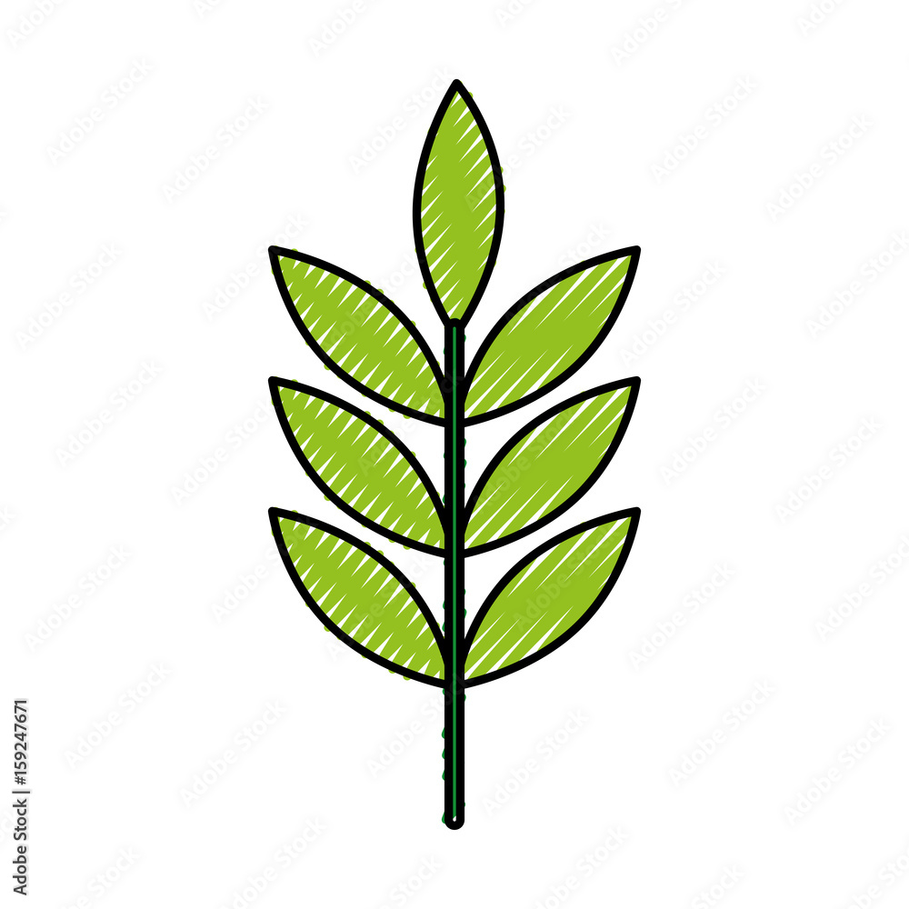 leafs plant wreath icon vector illustration design leafs plant wreath icon vector illustration design