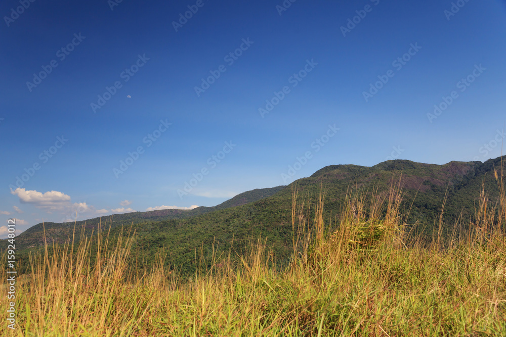 Mountain landscape or Mountain grass in Ranong Province, Southern Thailand.