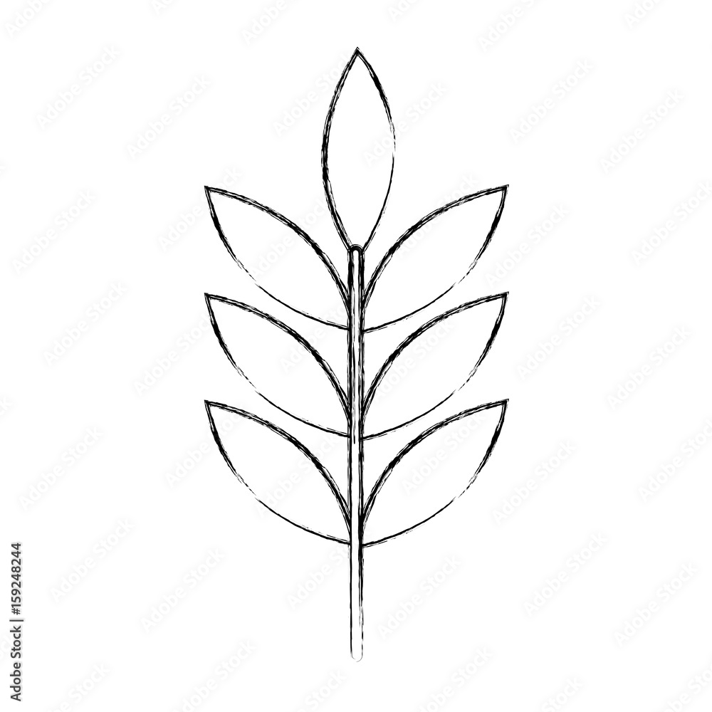 leafs plant wreath icon vector illustration design leafs plant wreath icon vector illustration design