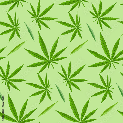 Green marijuana background vector illustration seamless pattern marihuana leaf herb narcotic textile