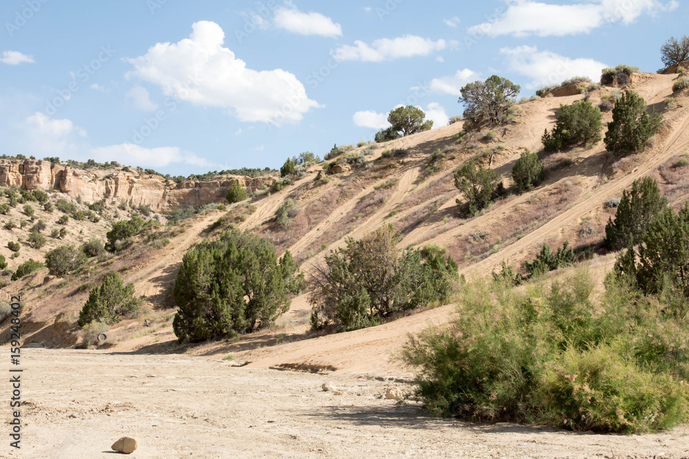 Many ATV trails down a hill at The Dunes in Farmington, New Mexico Many ATV trails down a hill at The Dunes in Farmington, New Mexico