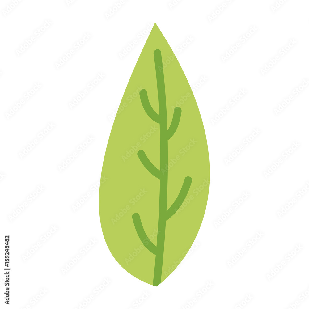 leaf plant isolated icon vector illustration design leaf plant isolated icon vector illustration design