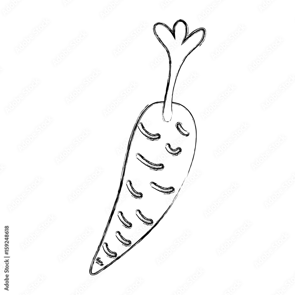 carrot fresh vegetable isolated icon vector illustration design carrot fresh vegetable isolated icon vector illustration design