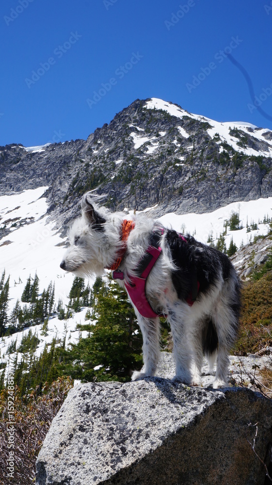 Obraz premium Exploring Washington State, the Great Pacific Northwest