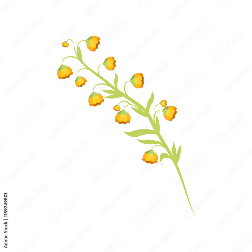 beautiful flowers icon over white background colorful design vector illustration