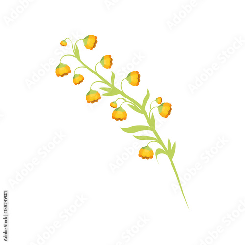 beautiful flowers icon over white background colorful design vector illustration