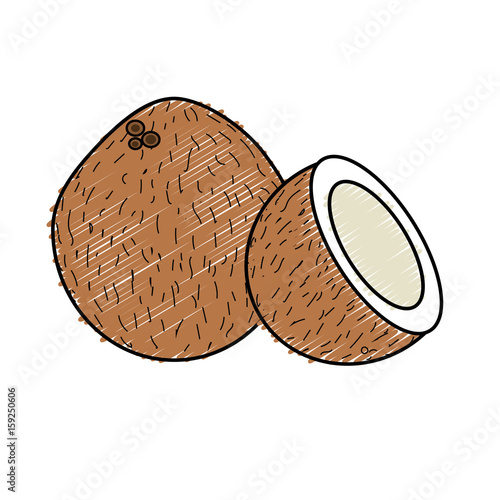 coconot fruit with one slice photo