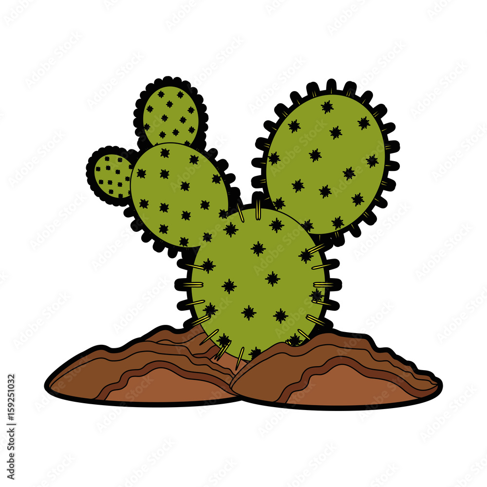 Naklejka premium cactus icon over white background colorful design vector illustration