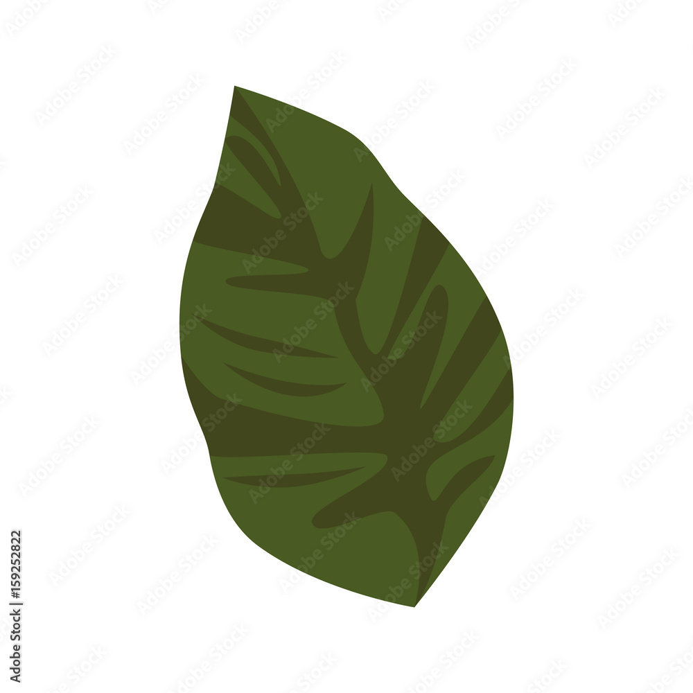 Naklejka premium leaf icon over white background vector illustration