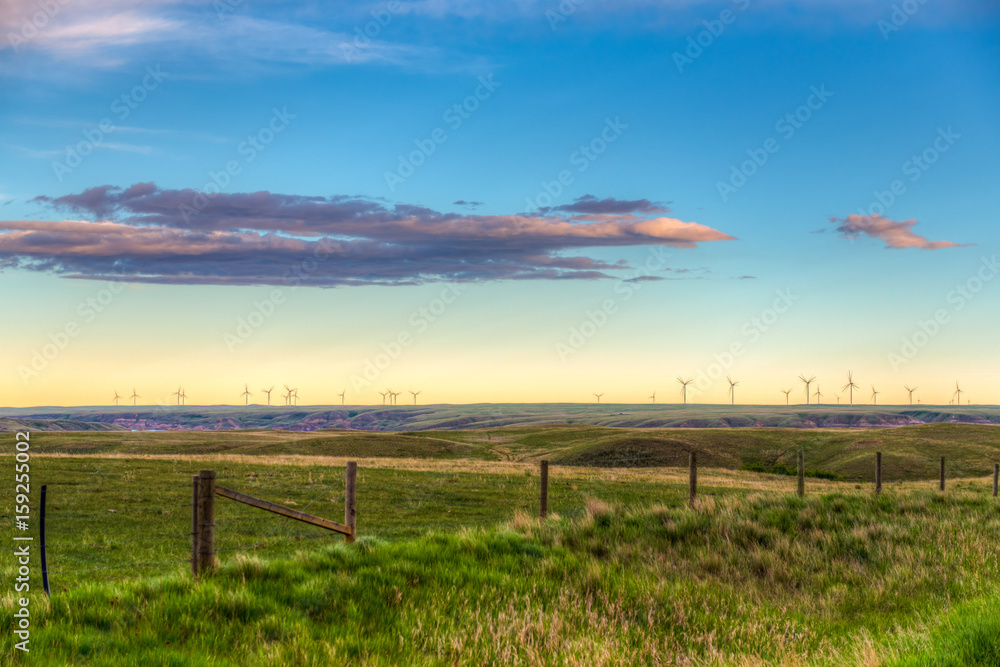 Obraz premium Prairie Landscapes