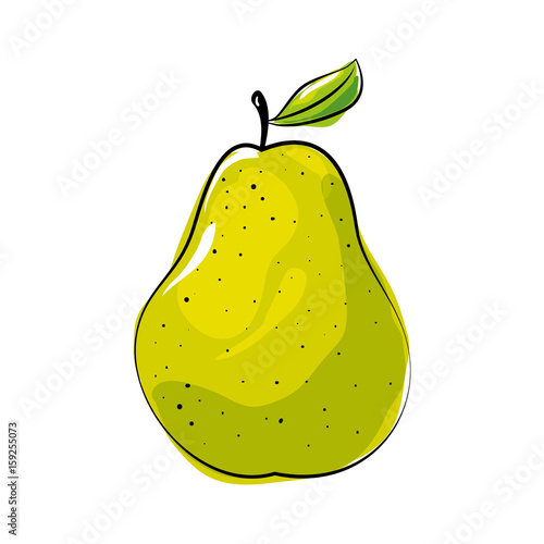 pear fruit icon over white background colorful design  vector illustration