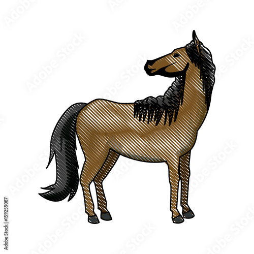 horse animal mammal nature equine icon vector illustration