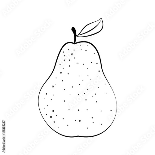 pear fruit icon over white background vector illustration