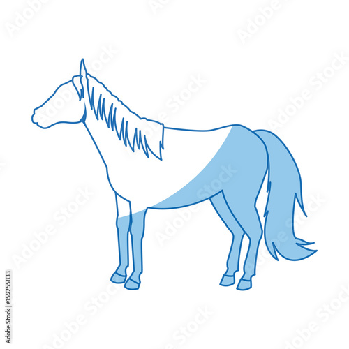 horse animal mammal nature equine icon vector illustration