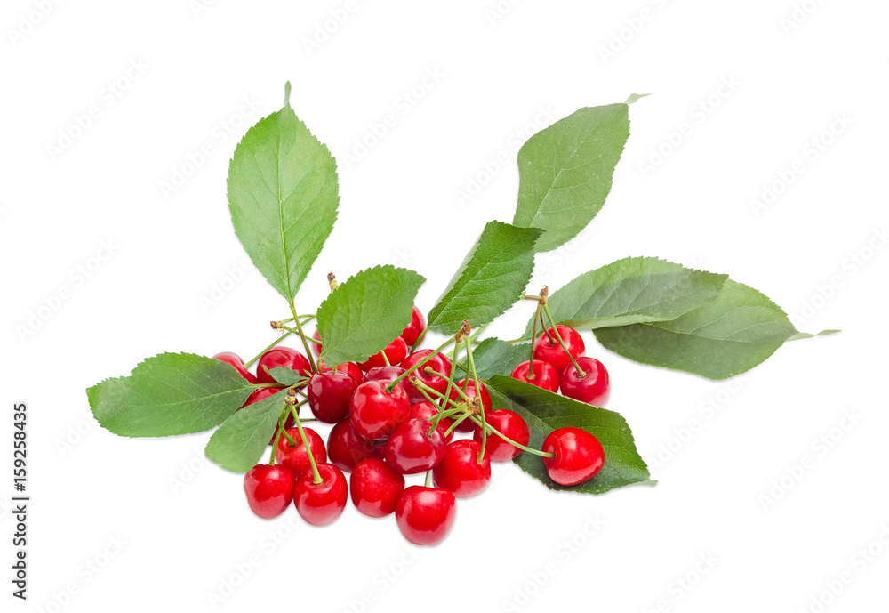 Pile of the sweet cherries with leaves Pile of the sweet cherries with leaves