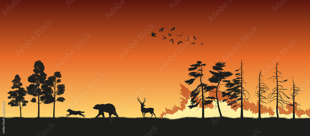Fototapeta premium Black silhouettes of animals on wildfire background. Bear, wolf and deer escape from a forest fire