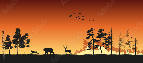 Black silhouettes of animals on wildfire background. Bear, wolf and deer escape from a forest fire