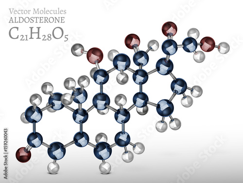 Aldosterone Molecule Image
