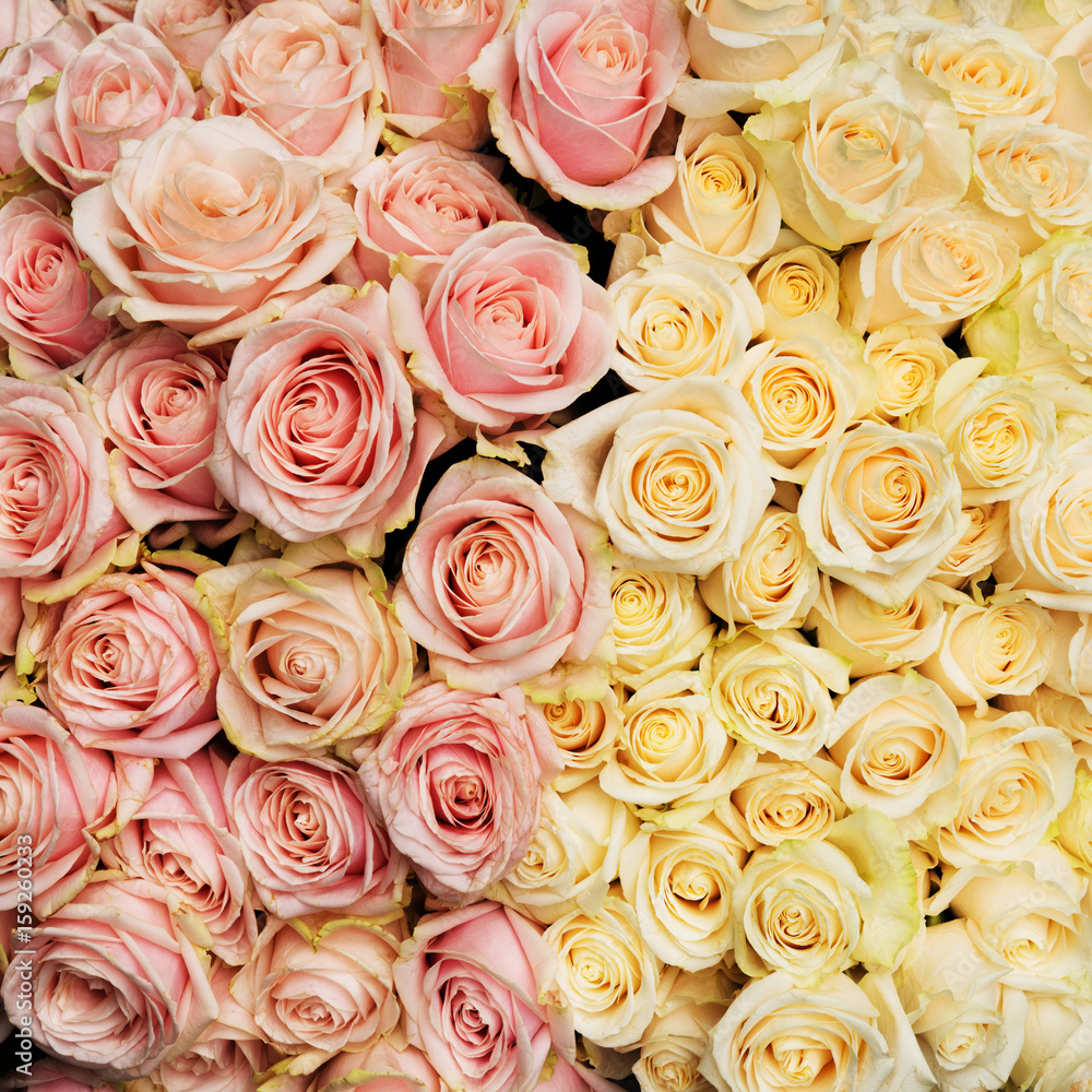 Bouquet of fresh, vintage roses. Natural flowers background.