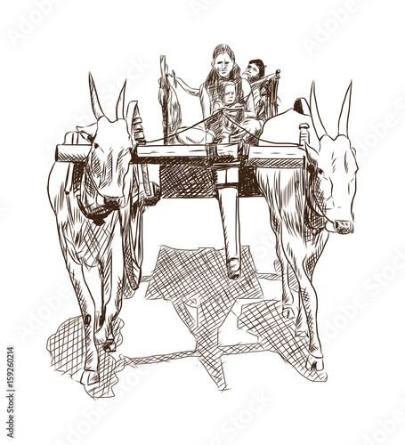 Hand drawn sketch of farmers bull in vector sketch.