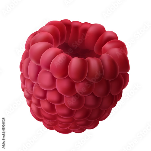 Vector illustration of a juicy raspberry in a realistic style isolated on white. Print, template, design element for packaging