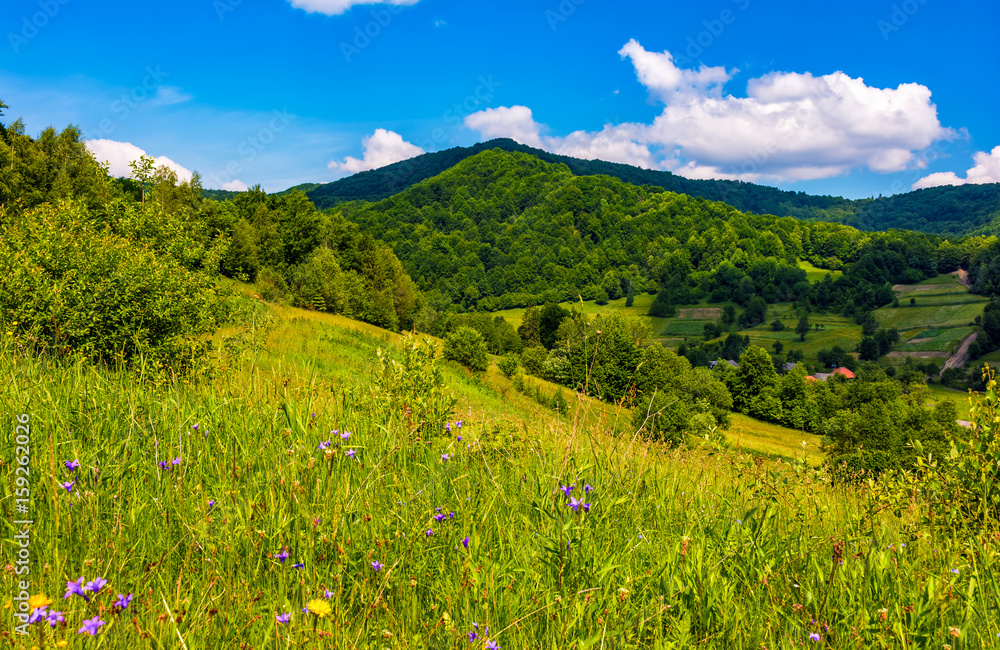 countryside summer landscape in mountains