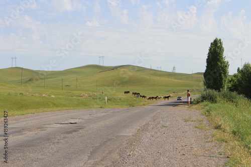 Landstraße Kasachstan