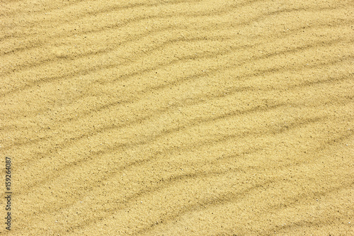 Sand Texture./ Sand Texture. 