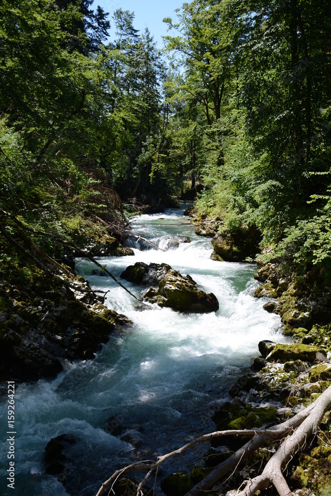 Gorge de Vintgar