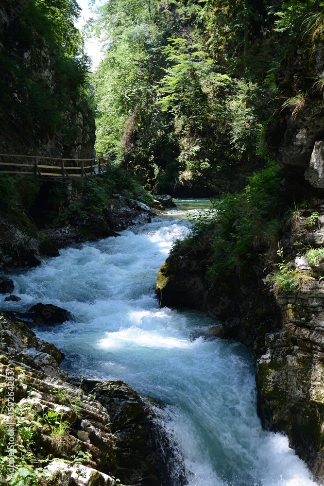 Fototapeta premium Gorge de Vintgar