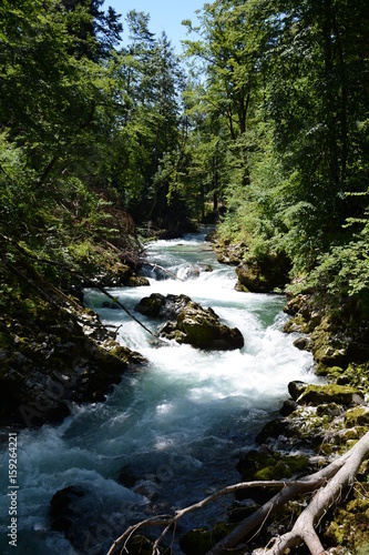 Gorge de Vintgar