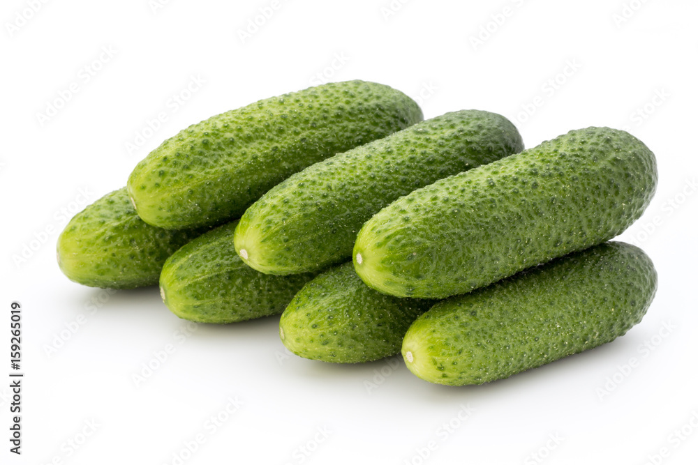 The first spring ecologically cucumbers. The first spring ecologically cucumbers.