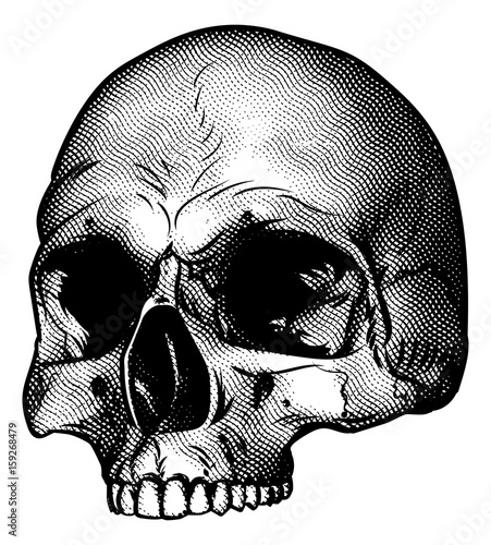 Skull Vinatge Style Drawing