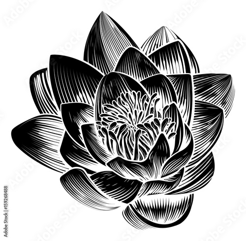 Fototapeta Naklejka Na Ścianę i Meble -  Vintage Style Water Lily Lotus Flower