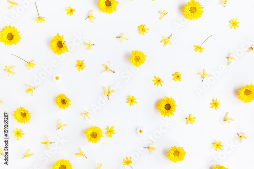 Flowers composition. Pattern made of chrysanthemum flowers on white background. Flat lay, top view