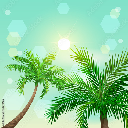 Tropical palm trees and sun in zenith