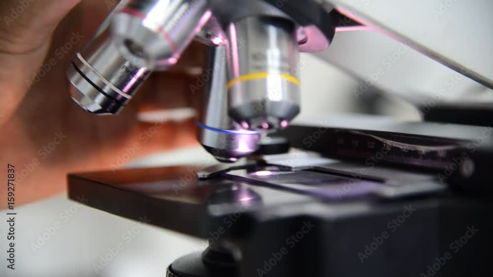 Scientist working in laboratory Scientist working in laboratory