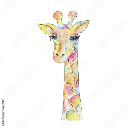 Watercolor Giraffe Isolated on a White Background Hand Drawn Illustration