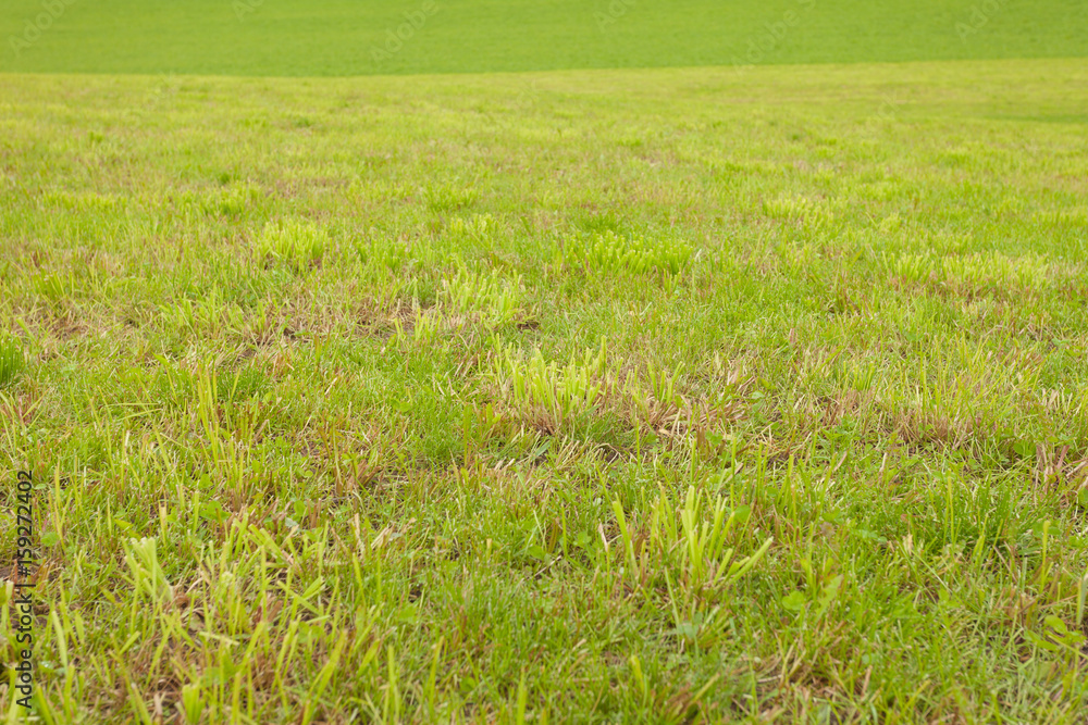 Obraz premium a wide green mountain pasture in Val di Funes, Italy