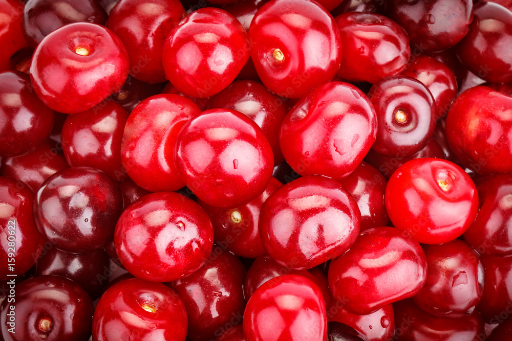 Beautiful years of ripe cherries. Beautiful years of ripe cherries.